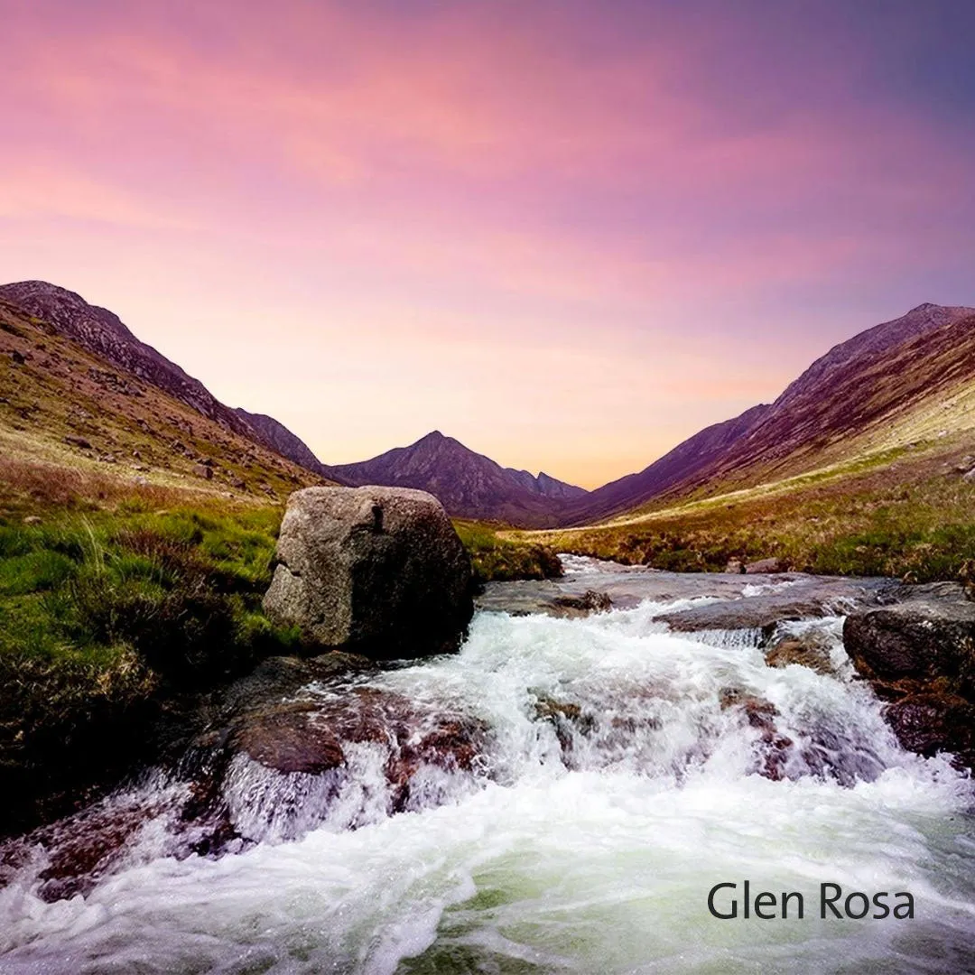 Glen Rosa Fig & Ylang Ylang Hand Wash